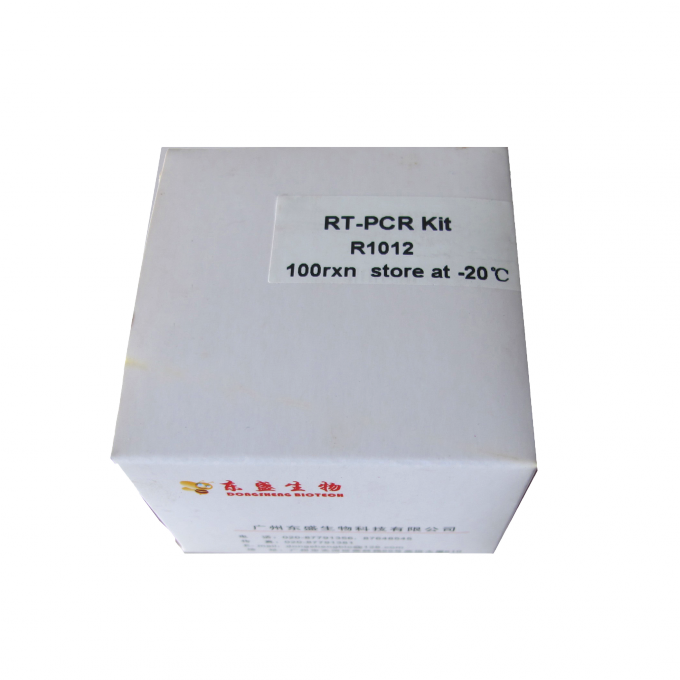 Rt-PCR della trascrittasi inversa di M-Mlv