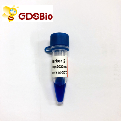 Indicatore 2 di LD elettroforesi GDSBio dell'indicatore del DNA di 60 preparazioni
