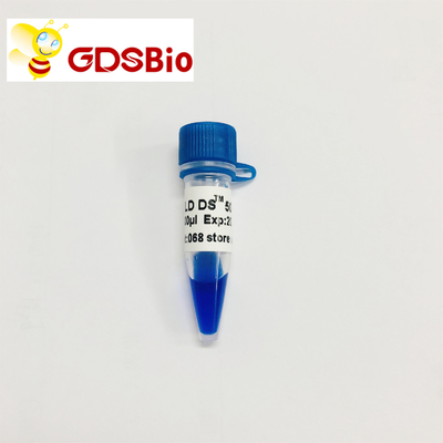 Aspetto blu di elettroforesi dell'indicatore del DNA di GDSBio LD DS 5000