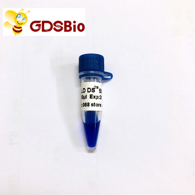 Aspetto blu di elettroforesi dell'indicatore del DNA di GDSBio LD DS 5000