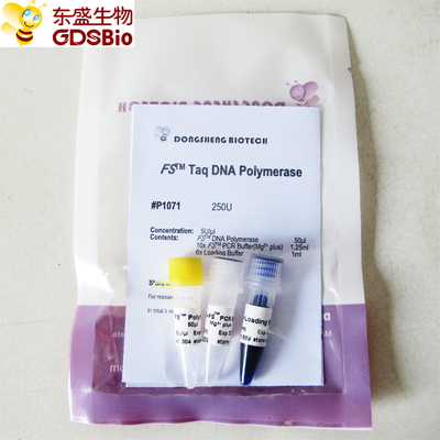 DNA polimerasi P1071 P1072 P1073 P1074 di PCR QPCR FS Taq
