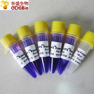 Rilevazione acida nucleica P3072 1ml×5 della miscela di PCR del FS di PCR matrice Kit For del RNA del DNA