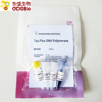 Amplificatore blu Taq più la DNA polimerasi per la PCR P1031 P1032 P1033 P1034