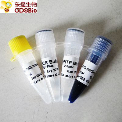 Amplificatore blu Taq più la DNA polimerasi per la PCR P1031 P1032 P1033 P1034