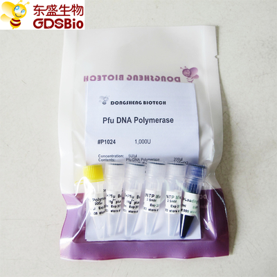 DNA polimerasi di Pfu per la PCR P1021 P1022 P1023 P1024