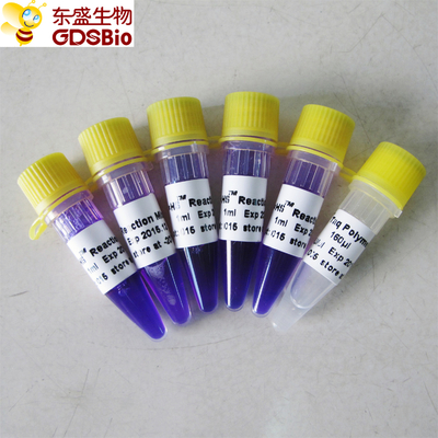 rilevazione matrice P3082 di PCR di HS Kit For Nucleic Acid della miscela di PCR 1ml×5