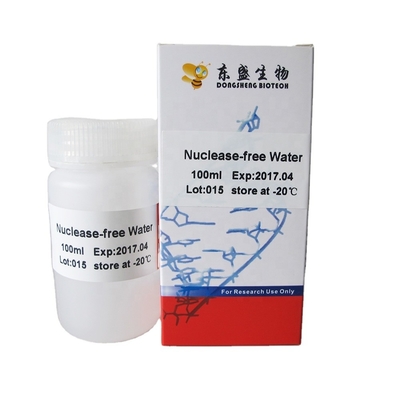 Nucleasi P9023 libero 500ml dell'acqua del grado di biologia molecolare
