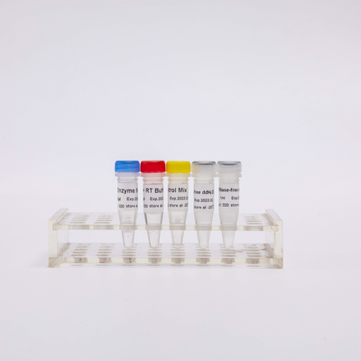 La miscela di PCR di RT per QPCR ha premescolato i reagenti R1031 di PCR della trascrittasi inversa