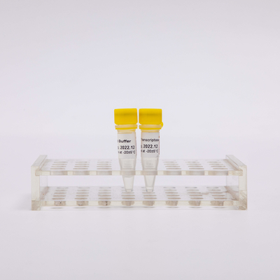 Trascrittasi inversa R3001 2000U R3002 10000U di PCR di Rt dell'oro