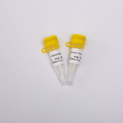 Trascrittasi inversa R3001 2000U R3002 10000U di PCR di Rt dell'oro