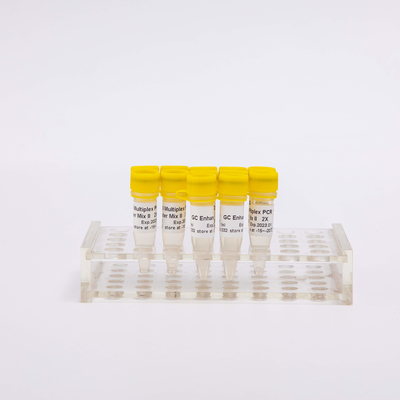 Reazioni matrici della miscela 400 di PCR della multisala 2X di NGS incolori