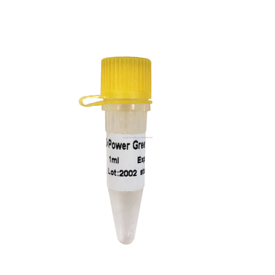 Efficienza verde di amplificazione della miscela P2101 del reagente di PCR di potere alta