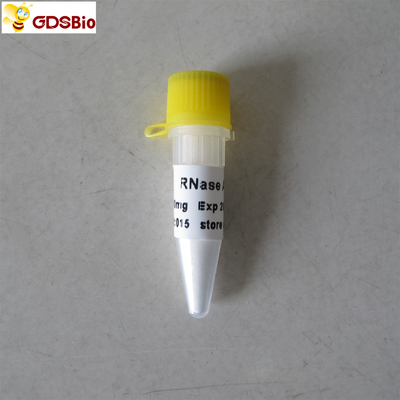 RNAsi diagnostica in vitro dei prodotti di mg N9046 100 una polvere