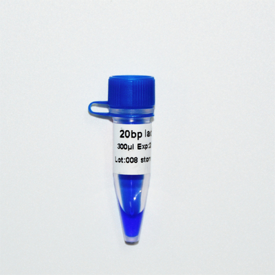 aspetto blu di GDSBio di elettroforesi dell'indicatore del DNA della scala 20bp