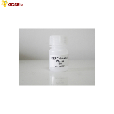 30ml DEPC ha trattato l'acqua per la PCR R2041 incolore