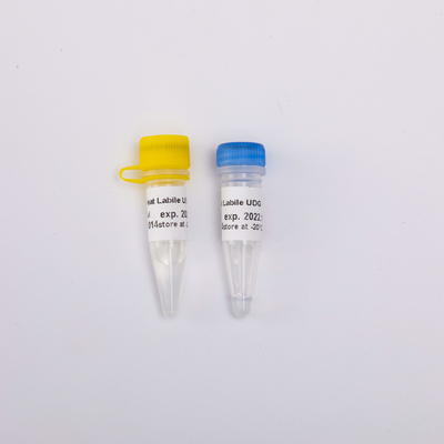 Miscela matrice instabile al calore per enzima altamente efficace in tempo reale di contaminazione di PCR UDG l'anti