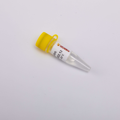 Miscela matrice instabile al calore per enzima altamente efficace in tempo reale di contaminazione di PCR UDG l'anti
