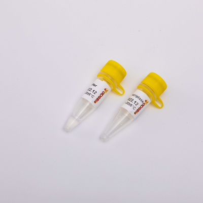 aspetto incolore di PCR R3002 della trascrittasi inversa dell'oro 10000U