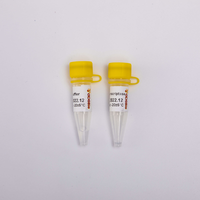aspetto incolore di PCR R3002 della trascrittasi inversa dell'oro 10000U