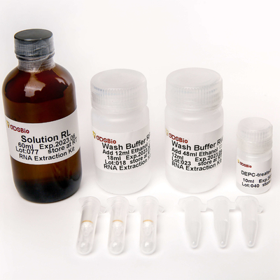 Kit di estrazione generale dell'RNA R1051 50 prep
