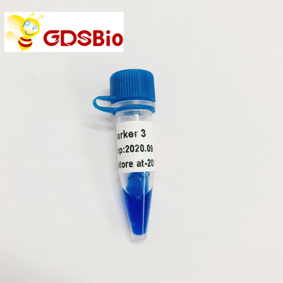 Elettroforesi dell'indicatore del DNA dell'indicatore 3 di GDSBio LD 60 preparazioni