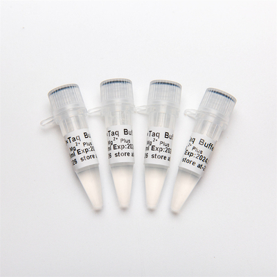 Amplificatore di PCR 10× (Mg2+ più) P5011 1.25ml×4
