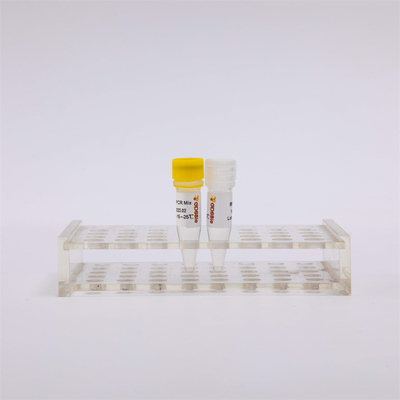 Miscela RP1001 di PCR di PCR Kit One Step RT della trascrizione e di punto finale di inverso del RNA
