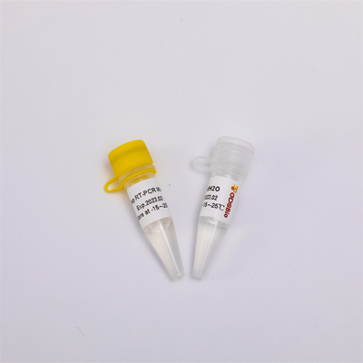 Miscela RP1001 di PCR di PCR Kit One Step RT della trascrizione e di punto finale di inverso del RNA