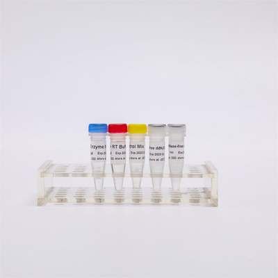 La prima miscela della sintesi RT-PCR del filo CDNA di R1031 GDSBio per QPCR ha premescolato i reagenti di PCR della trascrittasi inversa del RNA