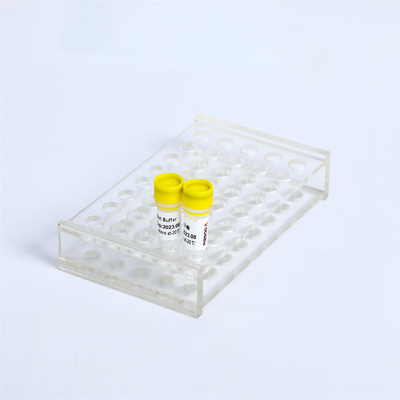 DNA polimerasi matrice Exonuclease di Bst della miscela di PCR P1113 meno 8000 U/mL
