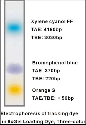 ED a tre colori di carico 1mlx5 dell'amplificatore di elettroforesi del DNA della tintura del gel 6×