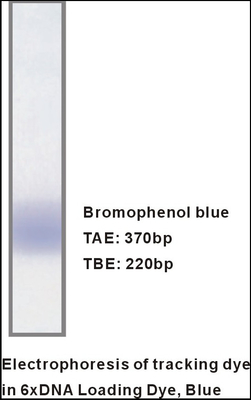 Reagenti specifici di carico di elettroforesi del DNA dell'amplificatore del gel di M9051 1mlx5 6×